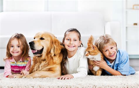 Most Loving Pets To Have At Emma Cook Blog