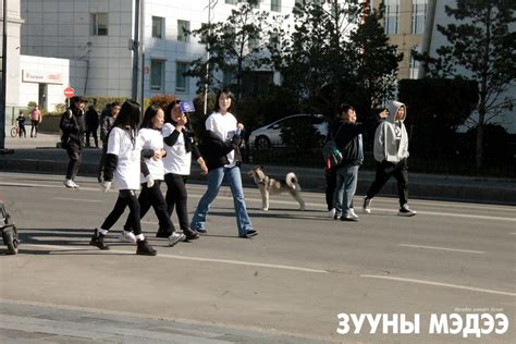 Фото: Автомашингүй өдөр
