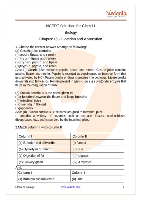 NCERT Solutions For Class 11 Biology Chapter 16 Digestion And