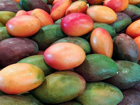 Premium Photo Table With Fruits Of Ripe And Green Mangoes Tommy