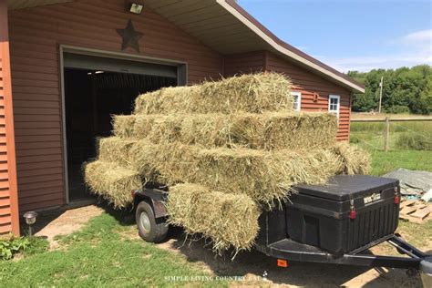 How to Pick the Best Hay to Feed Goats | Simple Living Country Gal