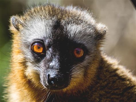 Madagaskar Erlebnisreise Mit Oder Ohne Besuch Tsingy Berge Meer