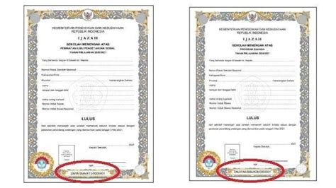 Cara Menemukan Letak Nomor Ijazah Sma Smk D3 Dan S1 Untuk Daftar Cpns 2024 Halaman 4 Tribun