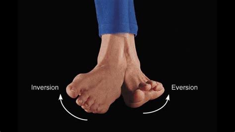 Pronation Vs Supination Youtube