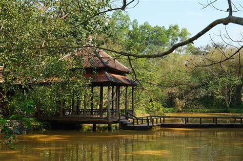 Kolam Gazebo Pohon Sungai Foto Gratis Di Pixabay Pixabay