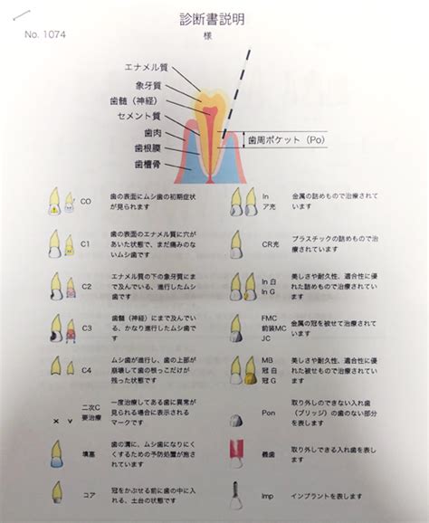 【妊娠18週目】妊婦歯科検診に行ってきました。 すぼらーmama