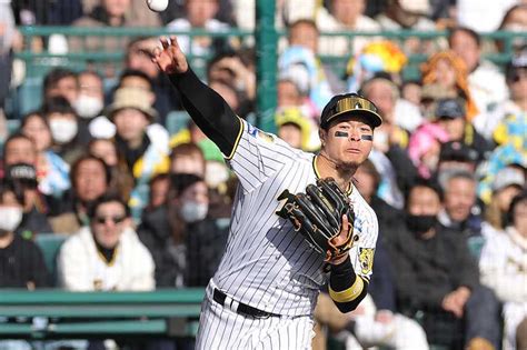 阪神・佐藤輝明、npb左打者初！新人から2年連続20号 右打者含むと10人目、虎では田淵幸一以来52年ぶり（1 2ページ） サンスポ