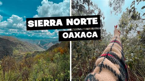 SIERRA NORTE DE OAXACA Camine 8 Kilómetros para Comprar Pan Caminata