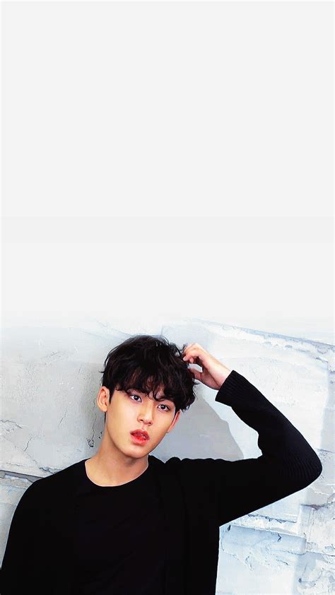 Kim Mingyu Idol Kimmingyu Kpop Seventeen HD Phone Wallpaper Peakpx