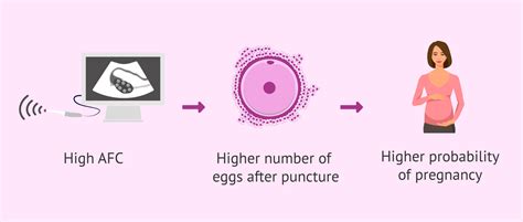 Ovarian Reserve Tests What They Are And How To Interpret Them