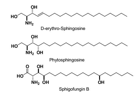 Various Sphingoid Bases Download Scientific Diagram