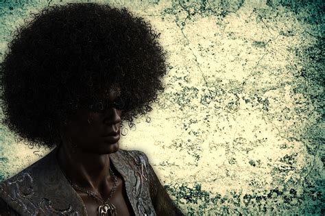 man afro hair royalty  stock illustration image pixabay