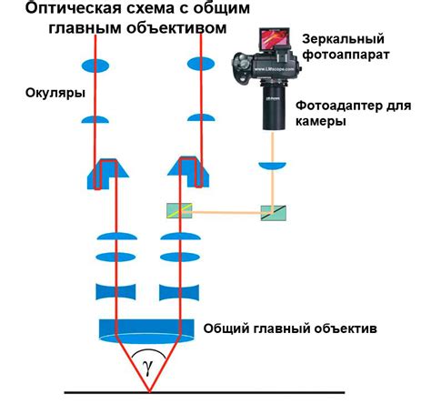 Типы оптических систем стереомикроскопов - OpticalMarket