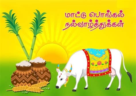 Mattu Pongal Wishes 2020 Jallikattu மாட்டு பொங்கல் வாழ்த்துக்கள்