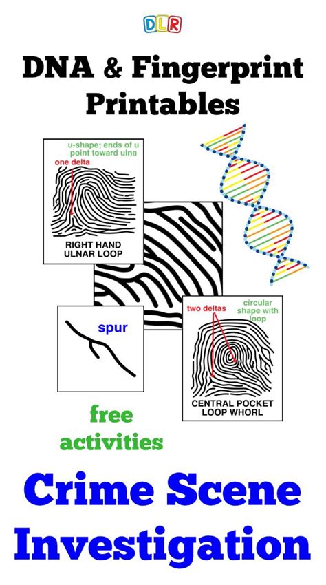 Forensic Science Free Printable Worksheets