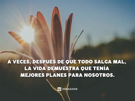 250 Bonitas Frases De La Vida Cortas Para Reflexionar Y 50 Off