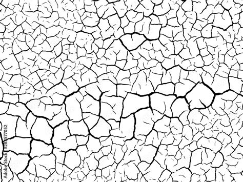 The Cracks Texture White And Black Vector Background Cracked Earth