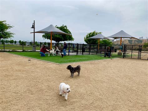 A Dog Park With Must Have Equipment