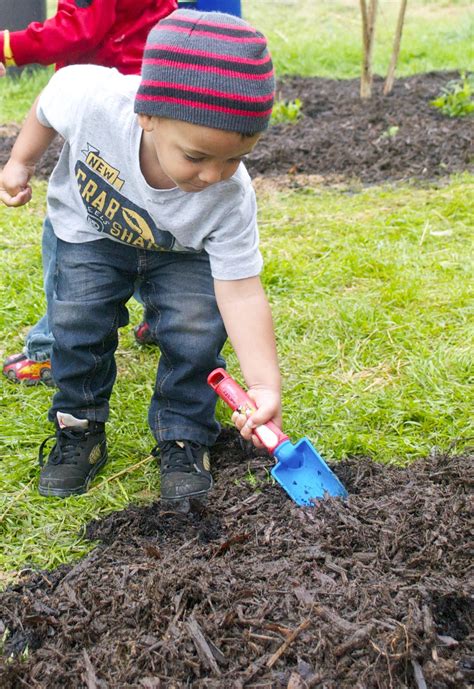 Media Resources- Bird-Friendly Planting Day | Audubon North Carolina