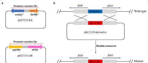 Schematic Representation Of The In Situ Substitution Strategy A The