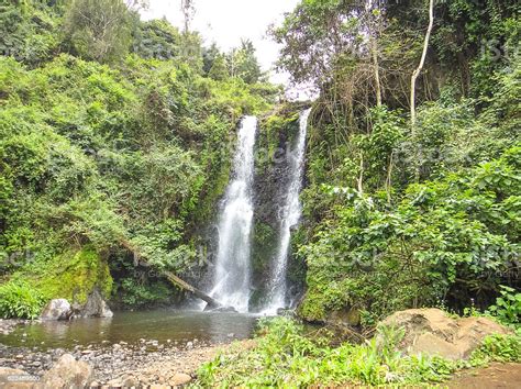 Marangu Materuni Waterfalls Katoto Adventures