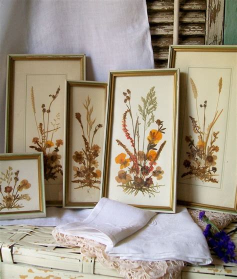 Five Vintage Framed Natural Dried Flower Pictures From Germany