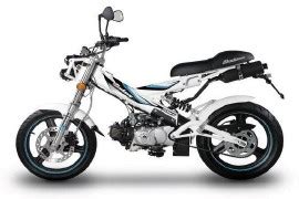 All SACHS MadAss Models And Generations By Year Specs Reference And