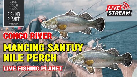 Live Fishing Planet Congo River Wisuda Hari Ini Lvl Youtube