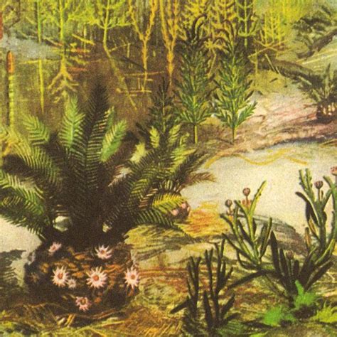 Mesozoic Era Landscape Vintage Print Plants Triassic Jurassic