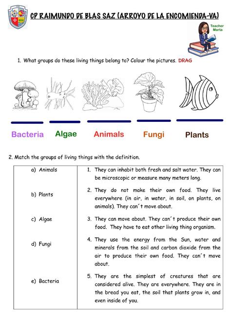 Unit 4 Classifying Living Things Worksheet Live Worksheets