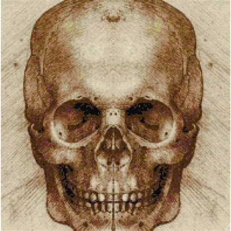 Leonardo Da Vinci Skull Drawing - Etsy