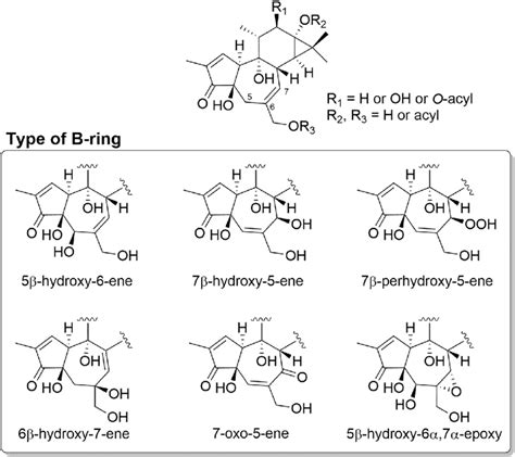 Structure Of Tigliane Diterpenoids Isolated From Plants Of The