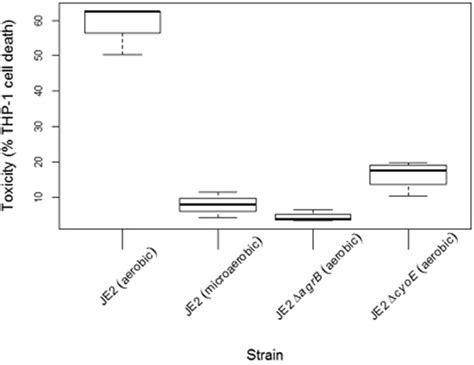 Repression Of The Tca Cycle By Growing S Aureus Under Microaerobic