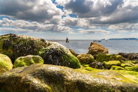 Osmington Bay Jurassic Coast Dorset Uk Stock Photo Image Of