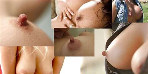 Splendid Nips ZB Porn