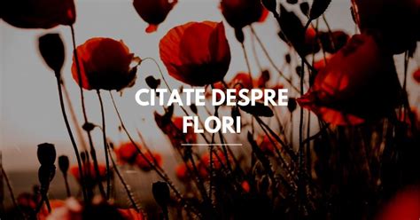 Expresii Despre Flori De Primavara
