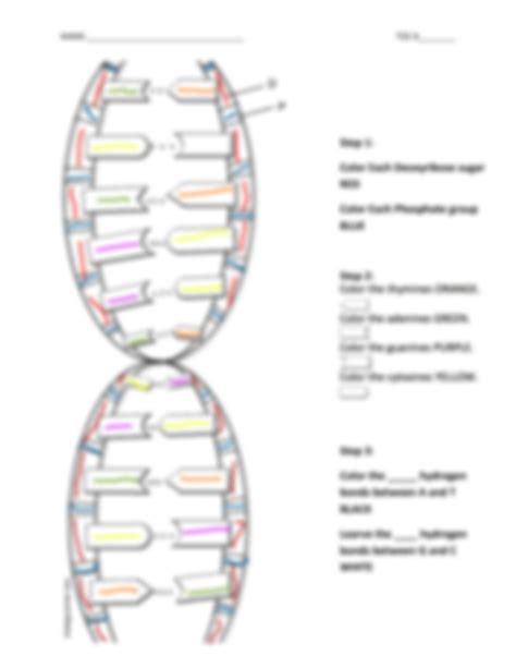 Solution Kami Export Charles Powell Dna Structure Worksheet