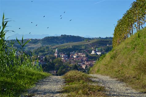 Tour Del Roero Tra Vigneti E Castelli Percorsi E Bike Langhe BikeSquare