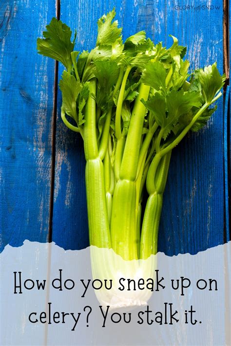 Celery Puns And Jokes That Will Make You Giggle Glory Of The Snow