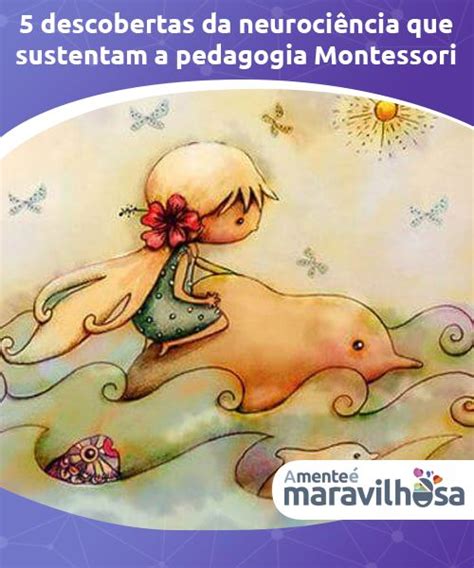 Descobertas Da Neuroci Ncia Que Sustentam A Pedagogia Montessori