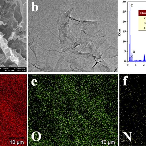 Morphology And Characteristics Of NGA A SEM B TEM C EDX Df Element