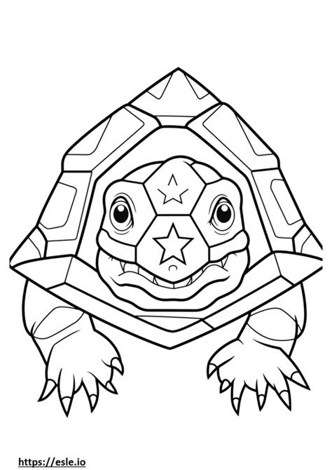 Indian Star Tortoise Coloring Pages Free Printable