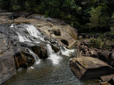 Discover ancient rainforest of Johor - Endau-Rompin - Konexer