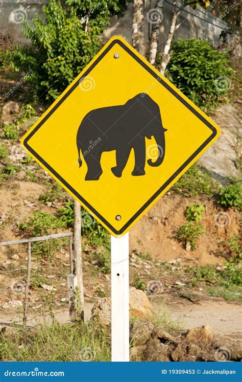 Elephant Crossing Road Sign In Thailand Stock Photos Image 19309453