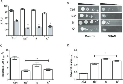 Alternative Oxidase Activity Is Necessary For Growth In High Osmolarity