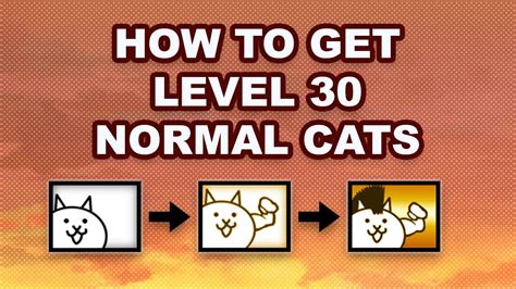 The Battle Cats How To Get Level Normal Cats Youtube