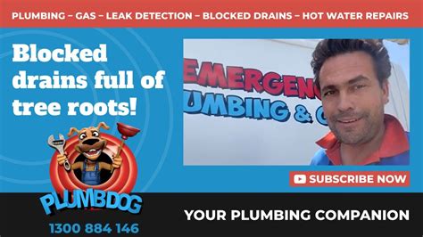 Blocked Outside Drain In Kallaroo Plumbdog Plumbing Perth Youtube