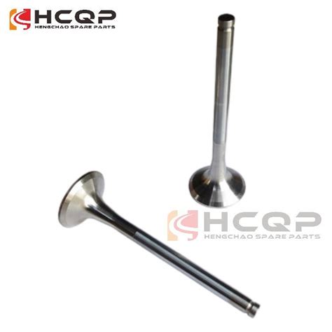 Sinotruk Howo Spare Parts Wd Engine Air Exhaust Intake Valve