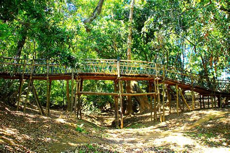 Kuruva Island Jungle walk and wildlife at Wayanad