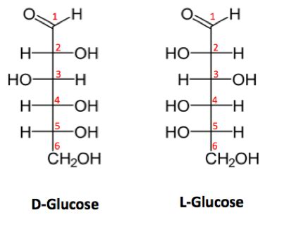 Monosaccharides Definition Structure Examples Video Lesson